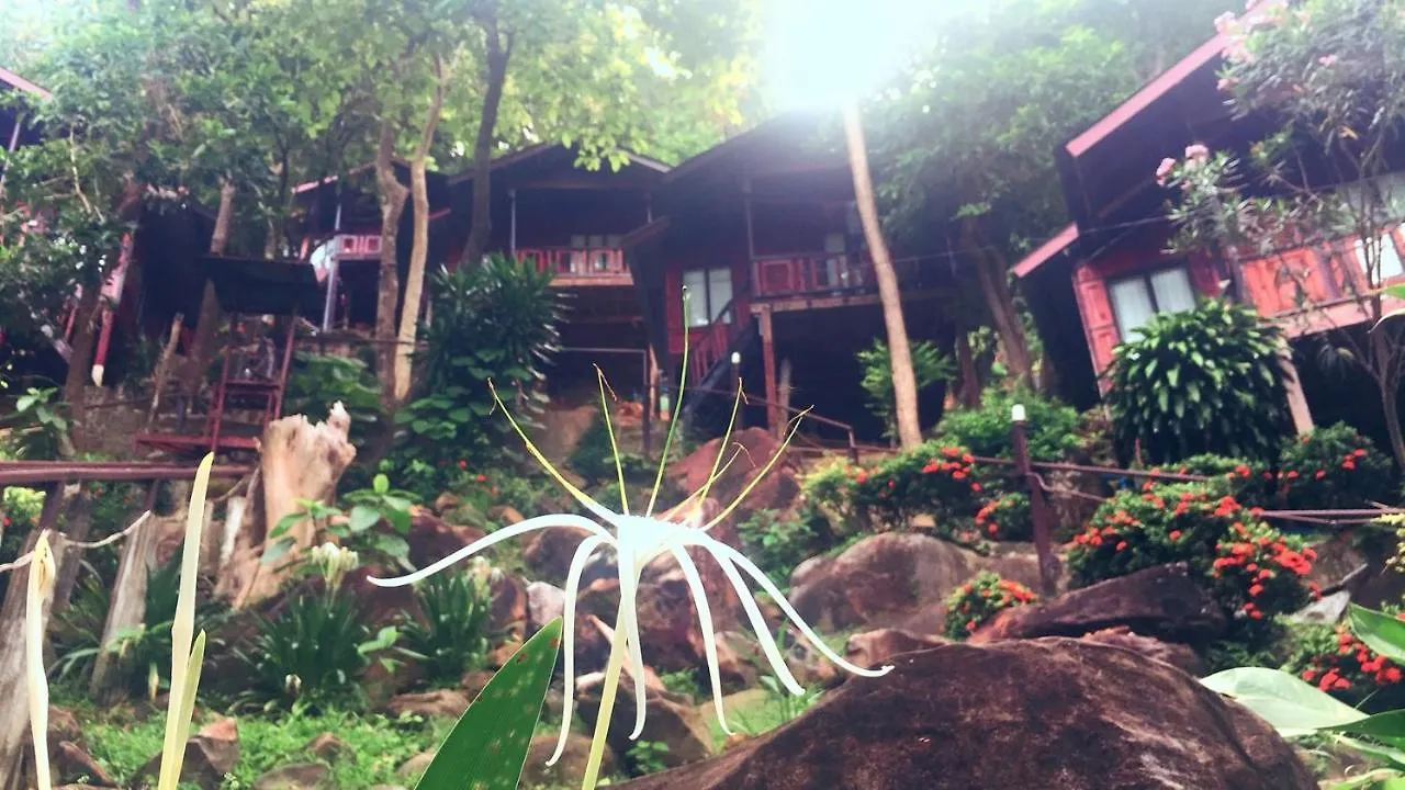 Phi Phi Green Hill Resort  ピピ島